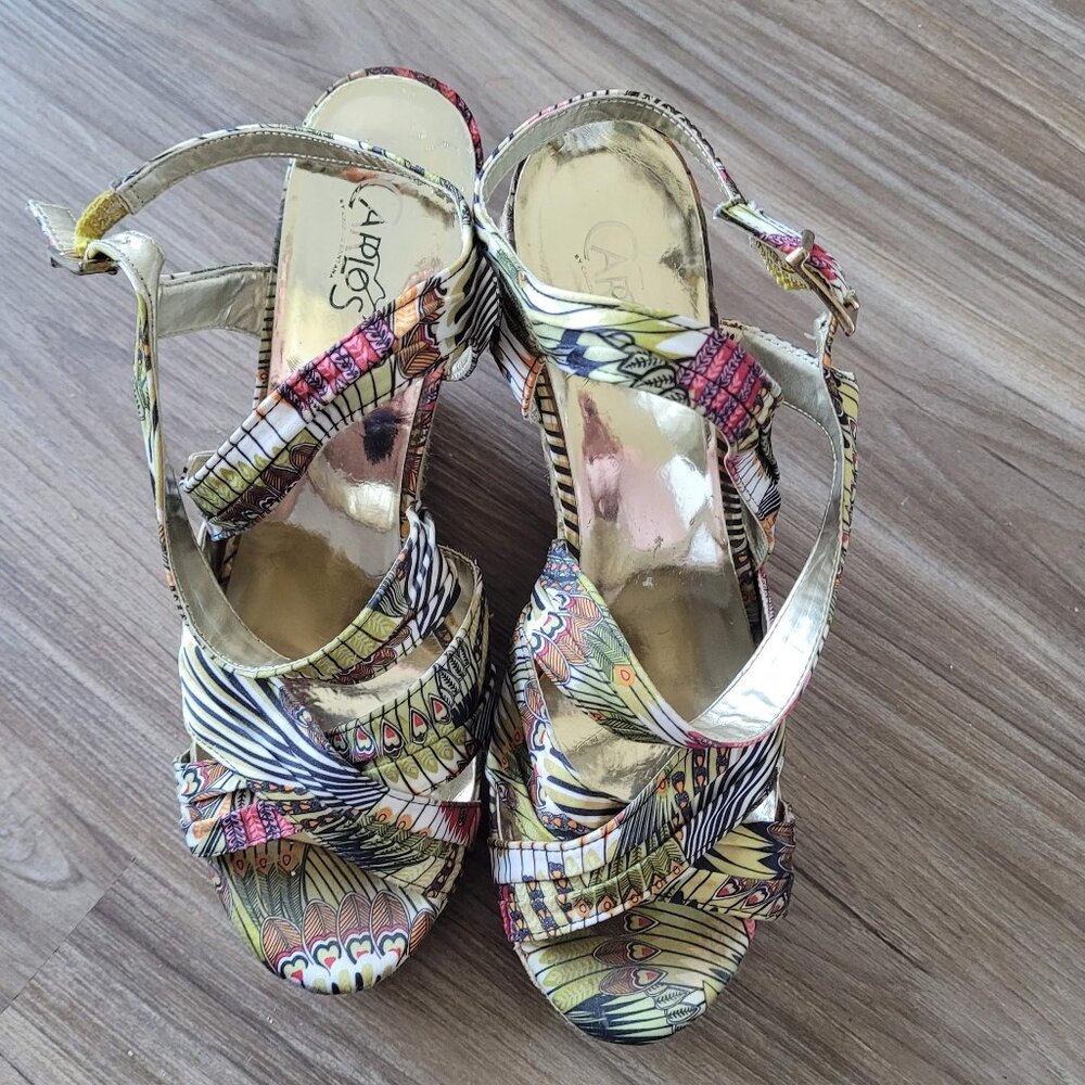 Carlos Wedges by Carlos Santana